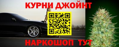 сатива Обь