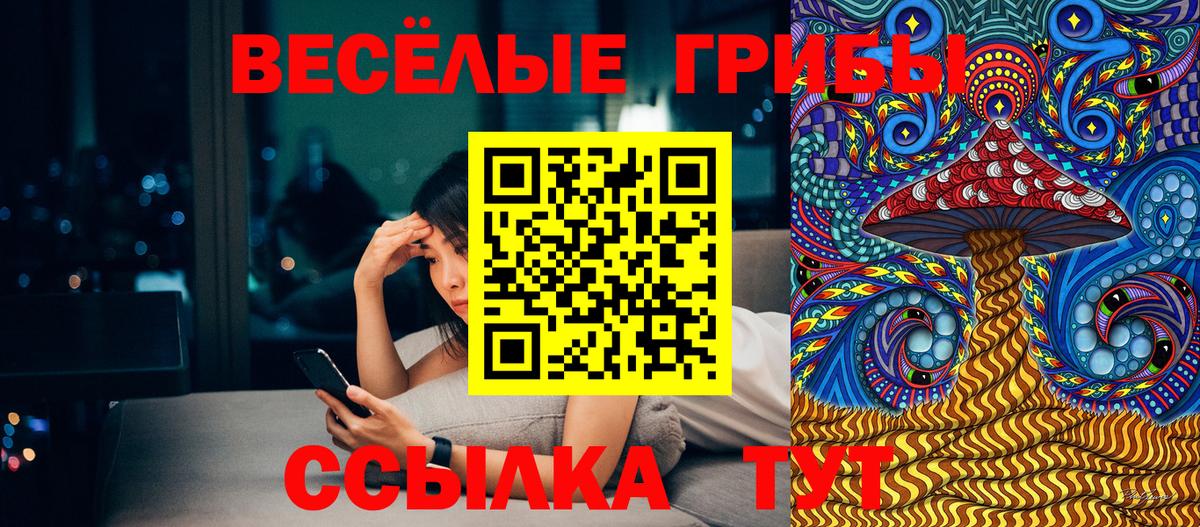 Сосновоборск  Галлюциногенные грибы GOLDEN TEACHER  Галлюциногенные грибы GOLDEN TEACHER  что такое наркотик  Вход с VPN 