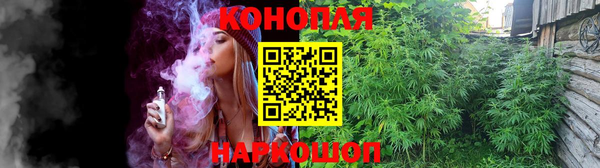 Бошки марихуана ГИДРОПОН  Каннабис гибрид  Канабис планчик  Вход с VPN  Сосновоборск 